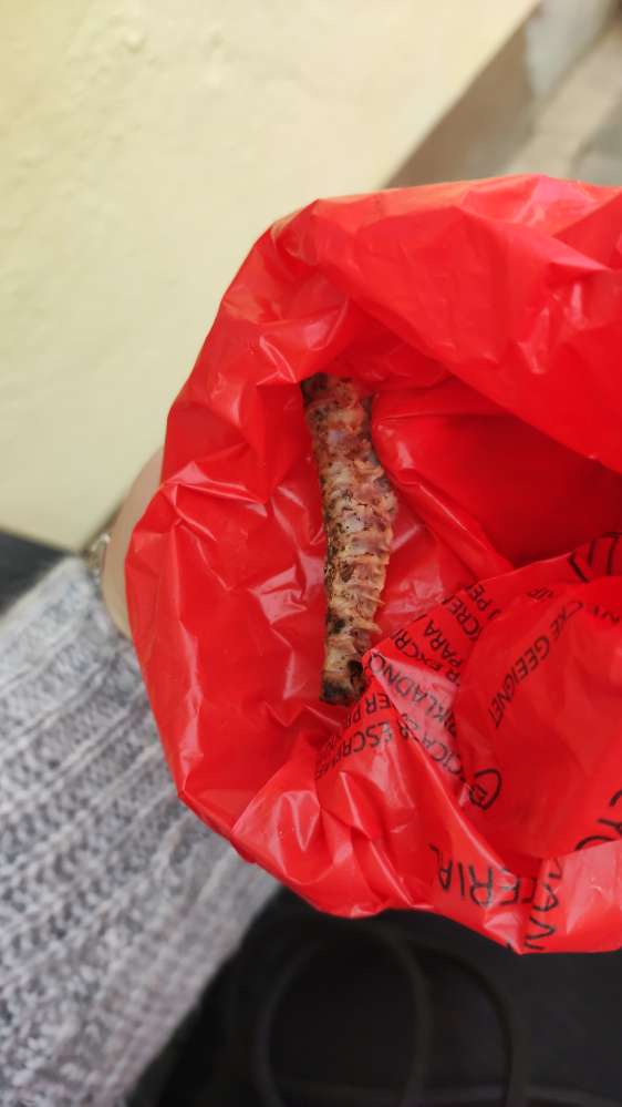 Giftköder-Möglicher Giftköder - Knochen-Profilbild