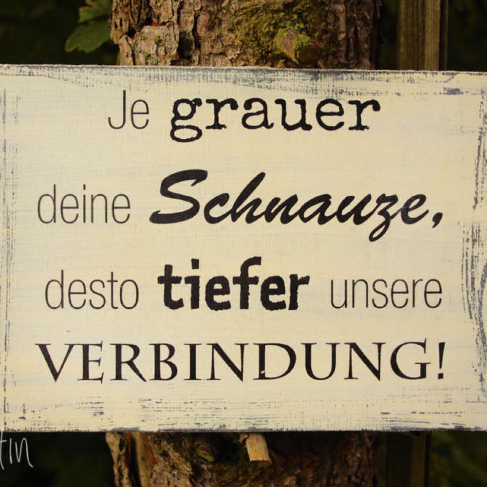 Hundetreffen-„Graue Schnauzen“ - Seniorenhundetreffen Raum Sonneberg-Profilbild