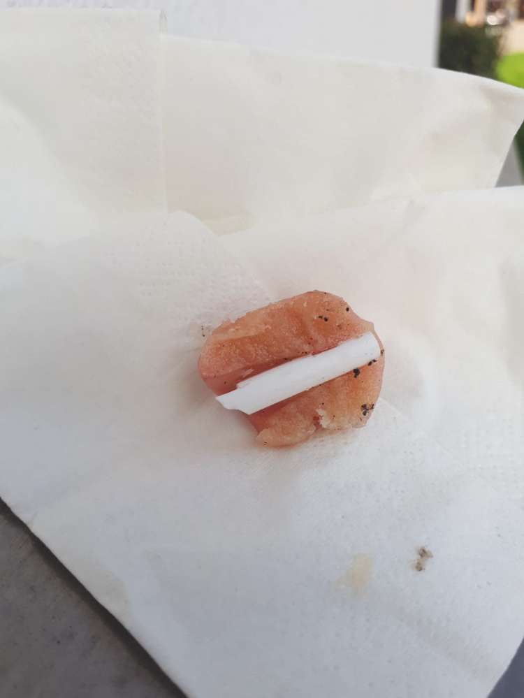 Giftköder-Fleischköder mit angespitzten Plastik-Profilbild