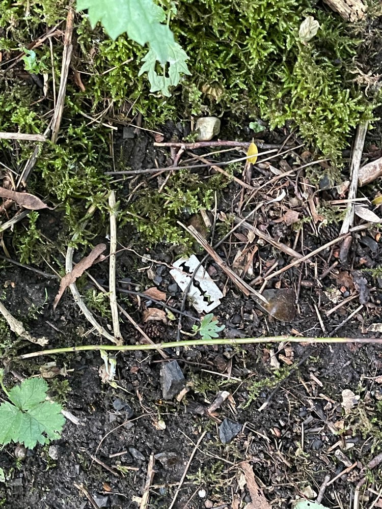 Giftköder-Rasierklingen im Wald LA-Profilbild