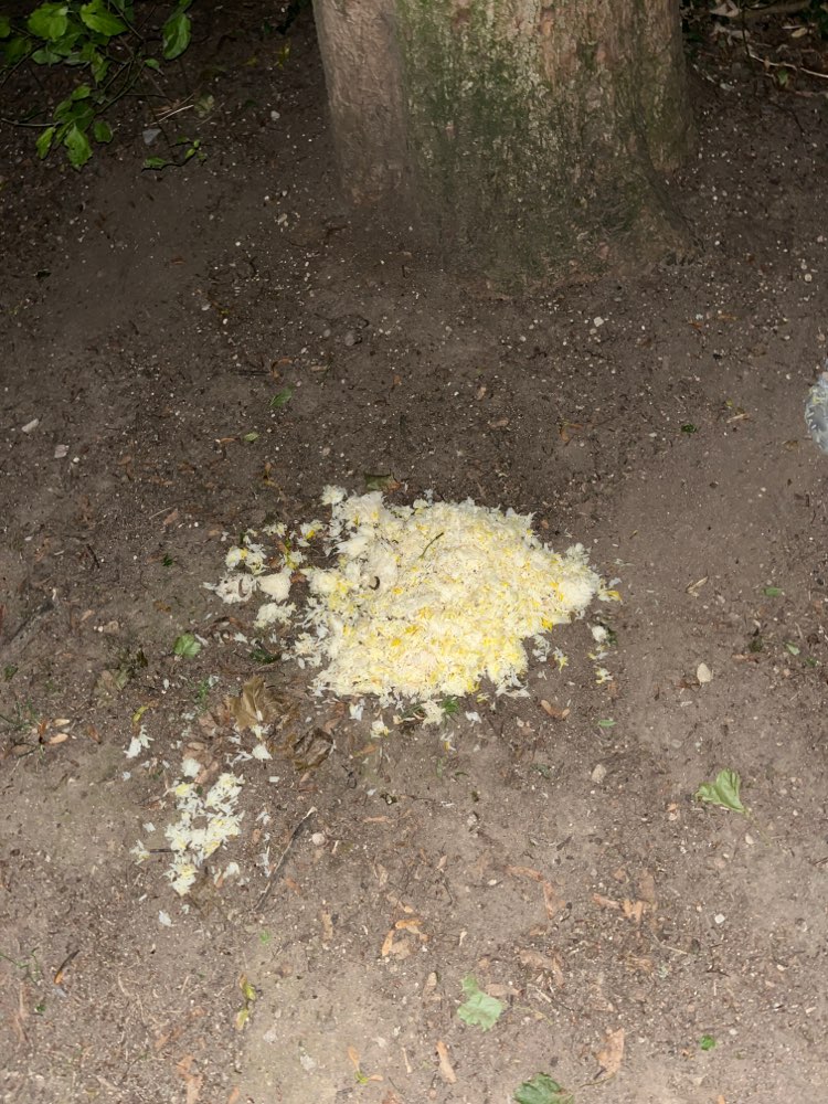 Giftköder-Großer Reishaufen-Profilbild