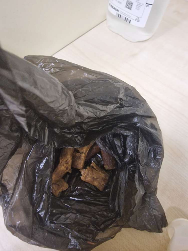 Giftköder-Eventuell Giftköder-Profilbild