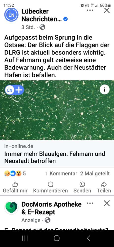 Giftköder-Blaualgen-Profilbild