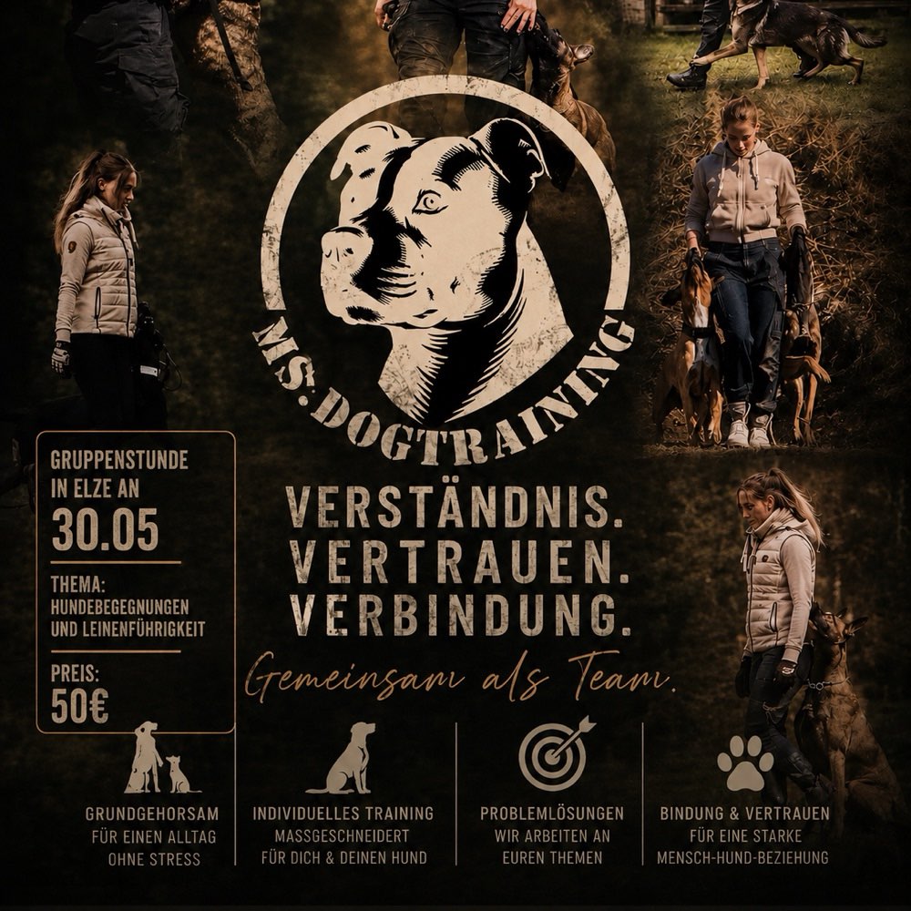 Hundetreffen-Gruppenstunde Hundebegegnungen-Profilbild