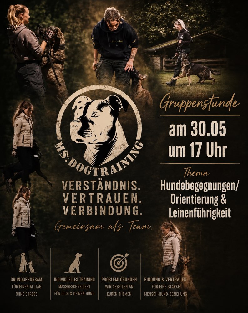 Hundetreffen-Hundetraining-Profilbild
