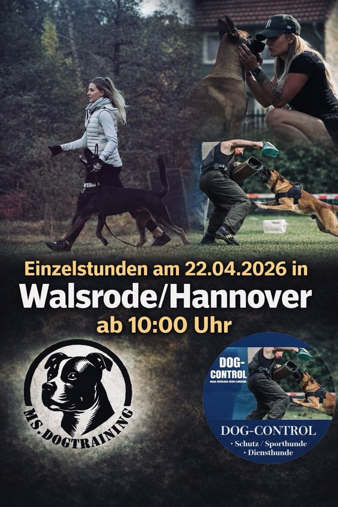 Hundetreffen-Einzelstunde Training-Profilbild