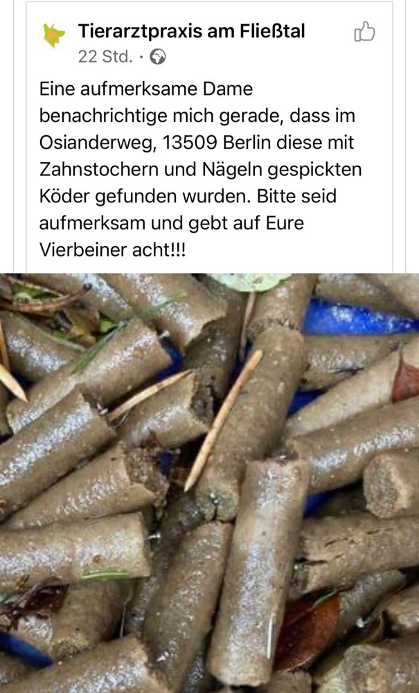 Giftköder-Mit Nägeln gespickte Köder-Profilbild