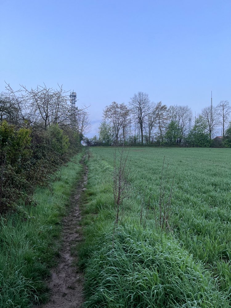 Giftköder-Weißes Pulver-Profilbild