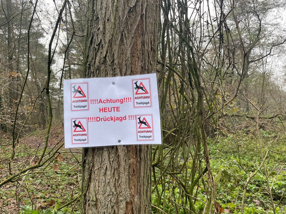 Giftköder-Treibjagd heute und morgen-Profilbild