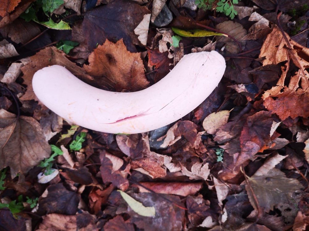 Giftköder-Giftköder Sundern-Profilbild