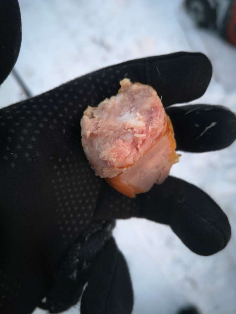 Giftköder-Verdacht auf Giftköder-Profilbild