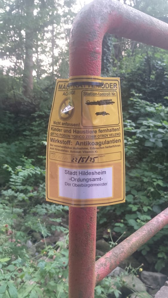 Giftköder-Rattenköder-Profilbild