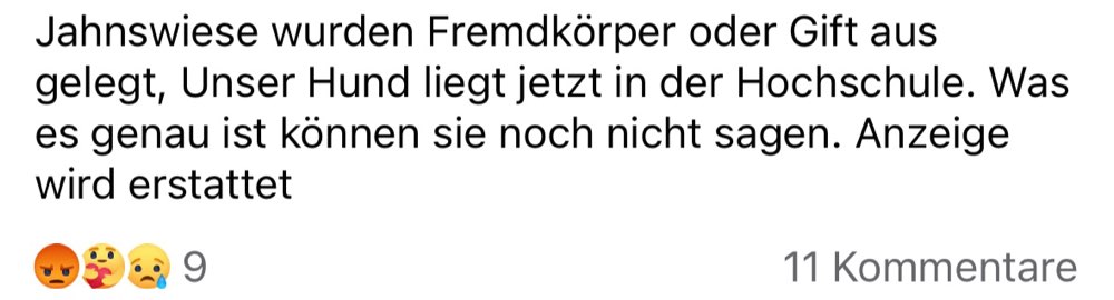 Giftköder-Fremdkörper oder Gift-Profilbild