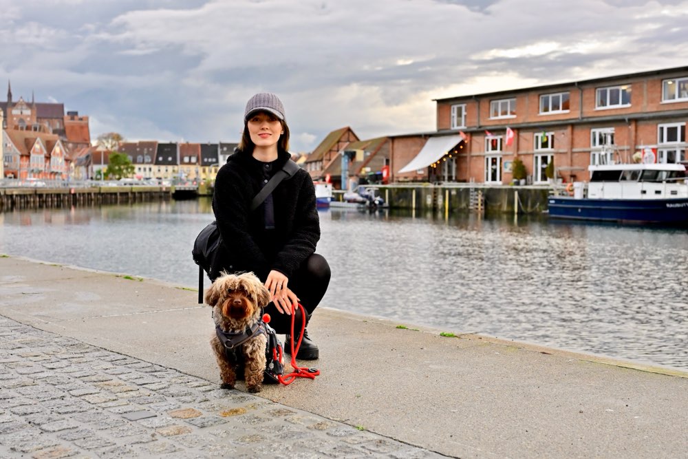 Hundetreffen-Gemeinsamer Spaziergang zur Sozialisierung-Profilbild