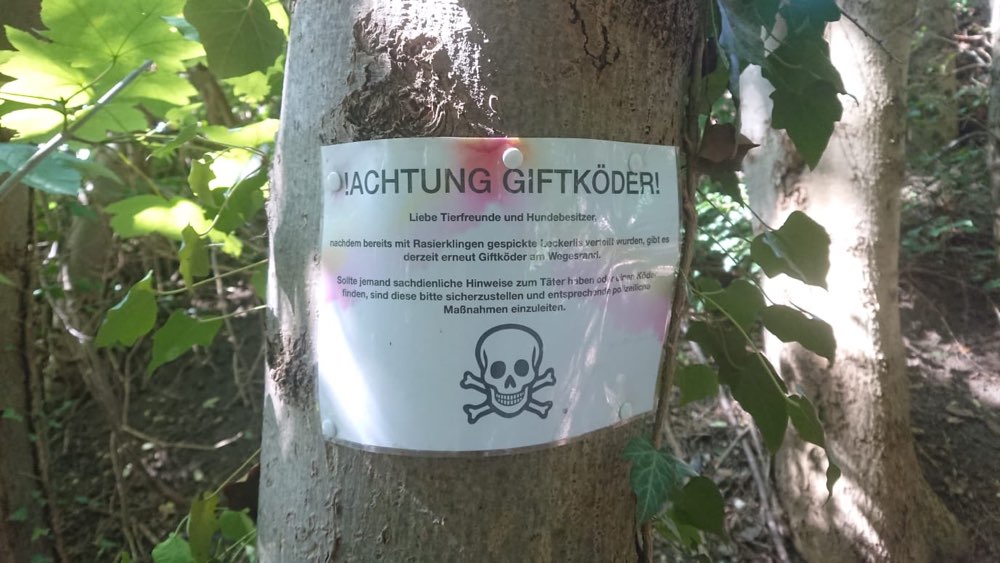 Giftköder-Giftköder-Profilbild