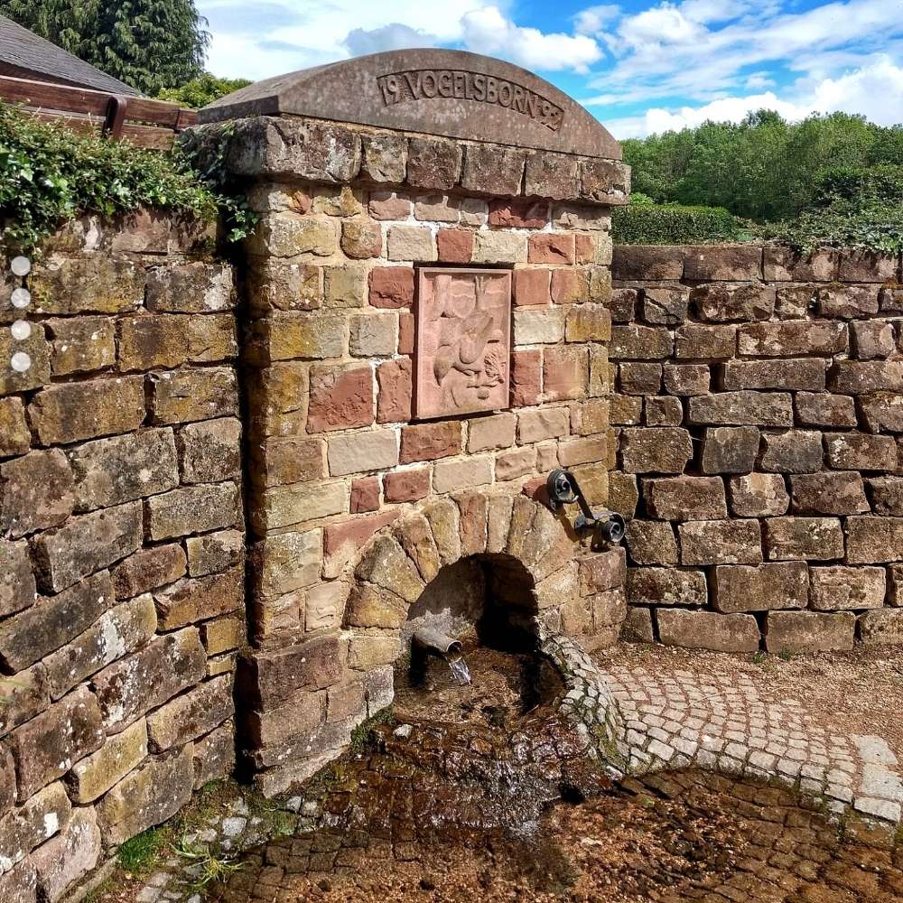 Hundetreffen-Junghundtreff Umgebung Heusweiler-Profilbild