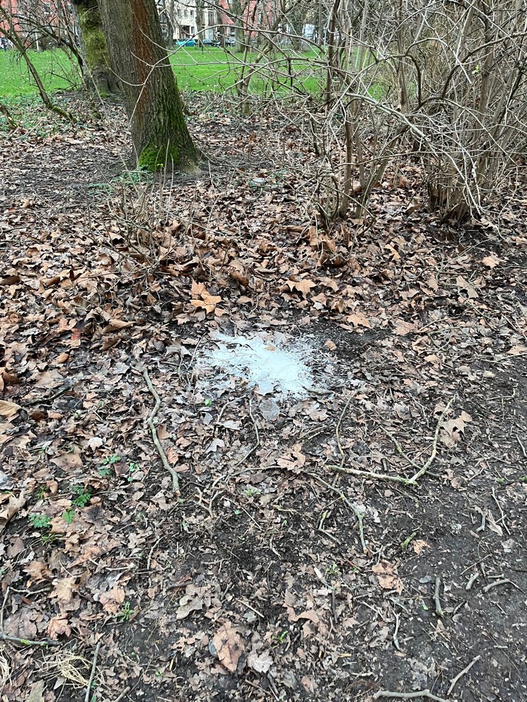 Giftköder-Weißes Pulver-Profilbild