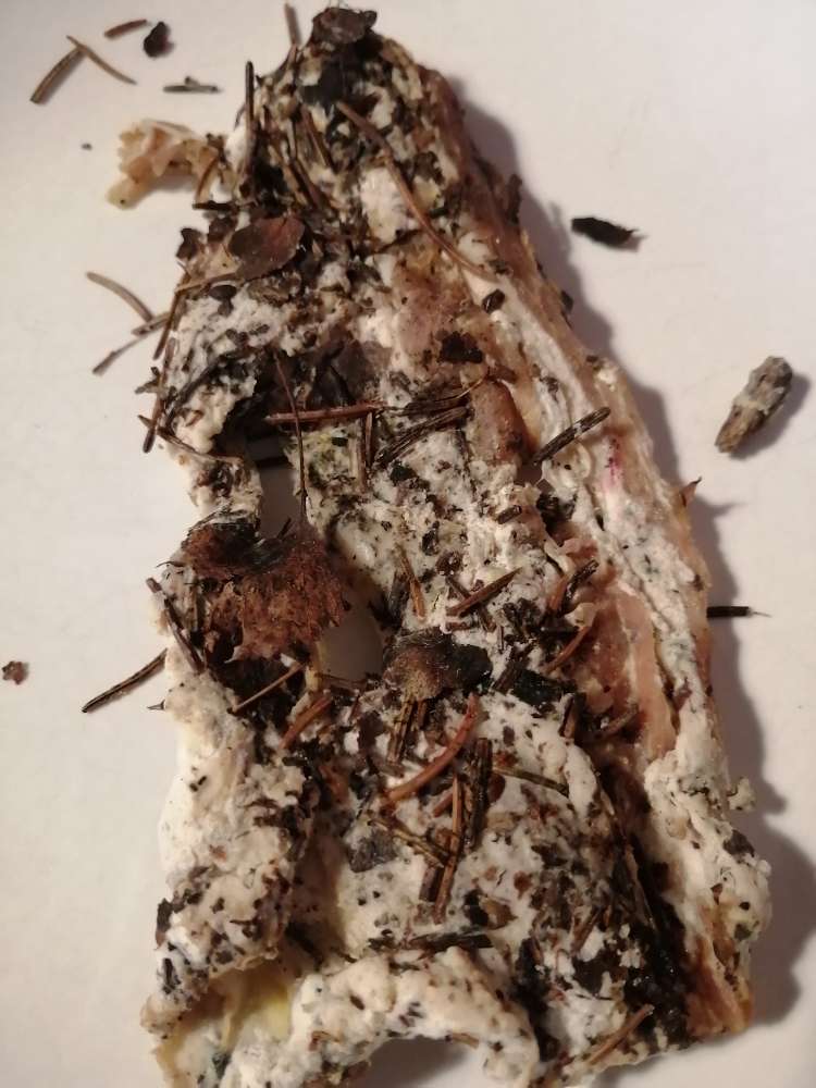 Giftköder-Möglicher Giftköder-Profilbild