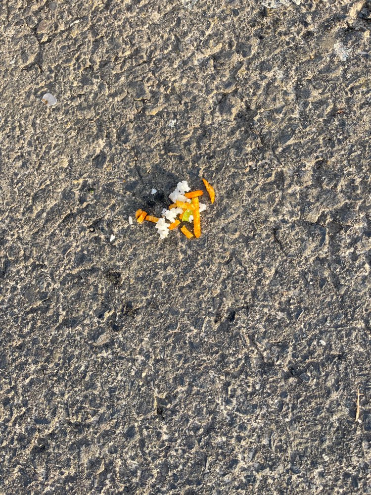 Giftköder-Giftköder-Profilbild