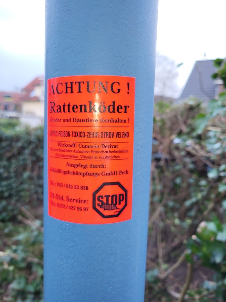 Giftköder-Rattengift-Profilbild