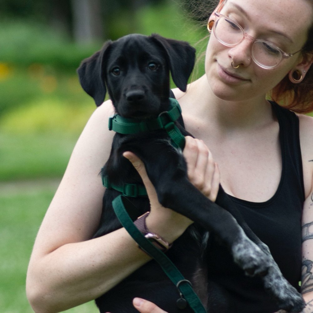 Hundetreffen-Welpentreffen in Leipzig Schönefeld-Profilbild