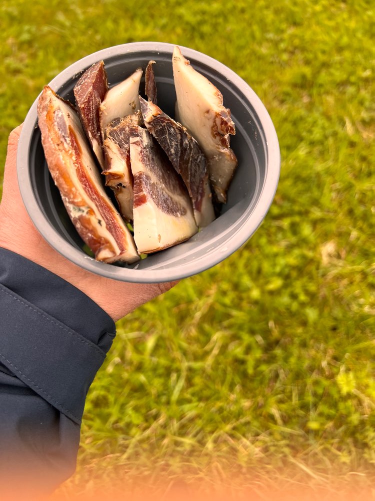 Giftköder-Achtung Giftköder!-Profilbild