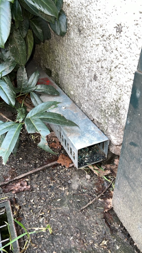 Giftköder-Rattenfalle mit Rattengift-Profilbild