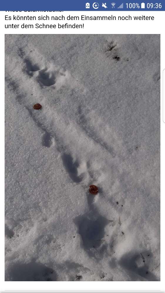 Giftköder-Giftköder Wurst!!-Profilbild