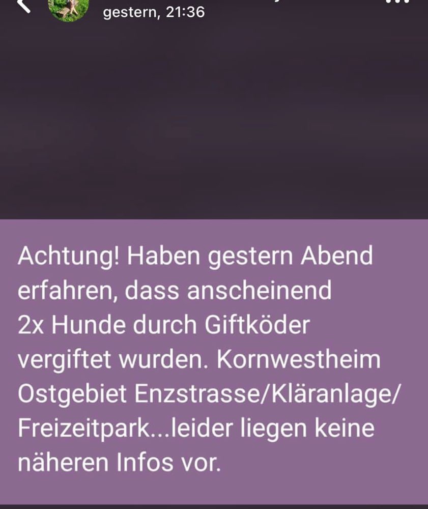 Giftköder-Verdacht auf Giftköder in Kornwestheim-Profilbild