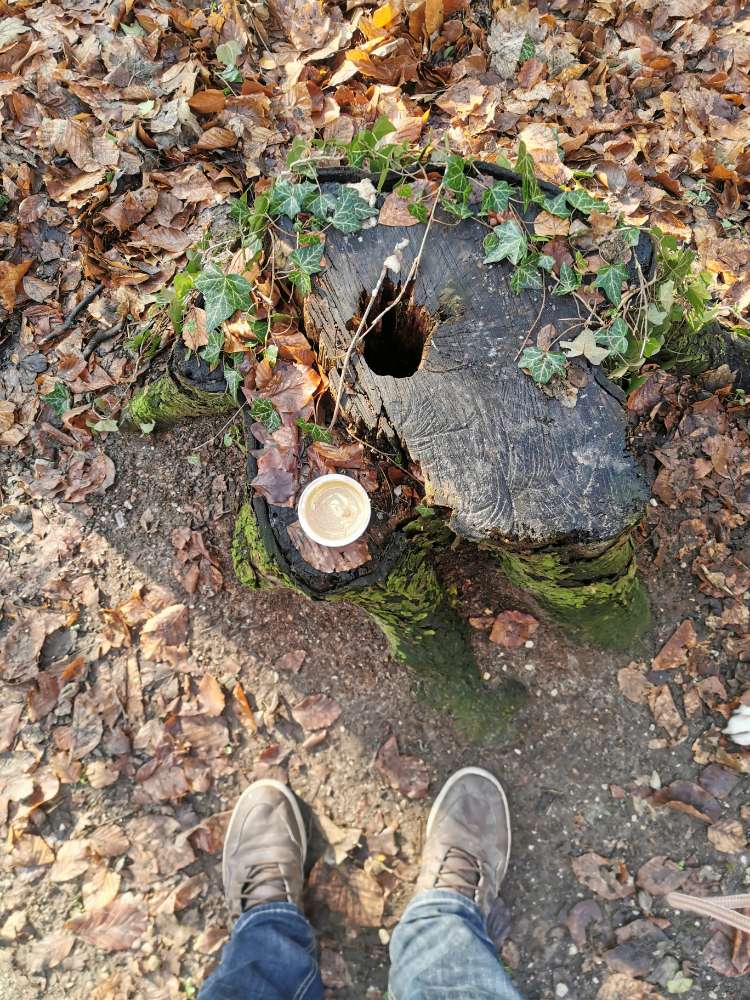 Giftköder-Leberwurstpaste-Profilbild