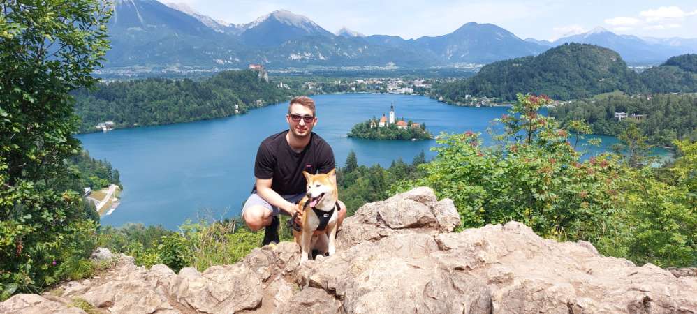 Hundetreffen-Gemeinsame Gassirunden-Profilbild