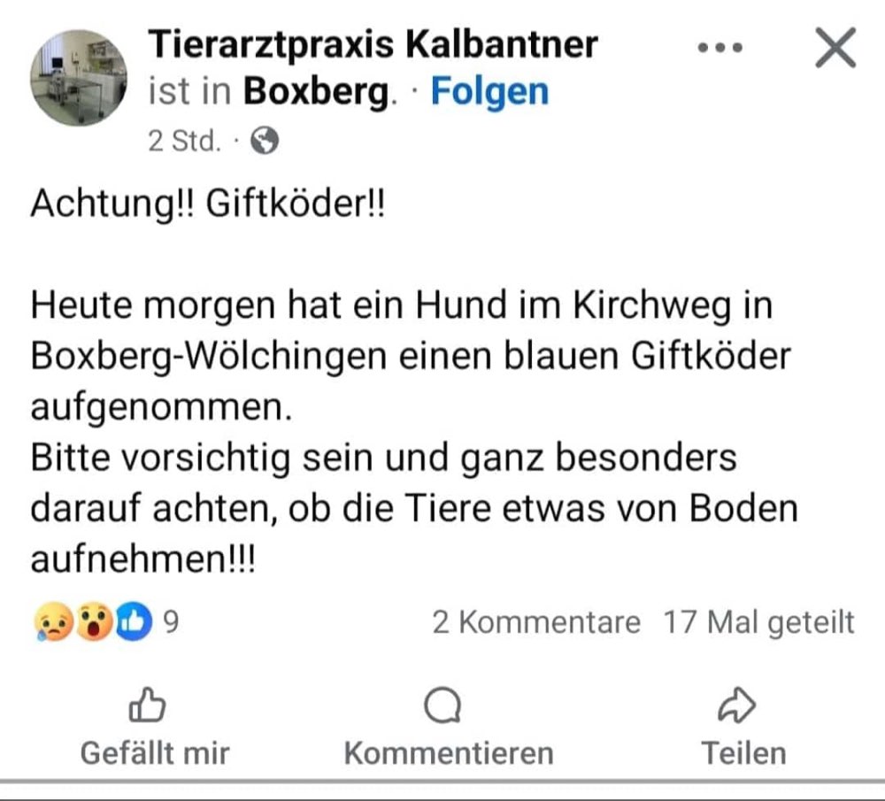 Giftköder-Giftköder-Profilbild