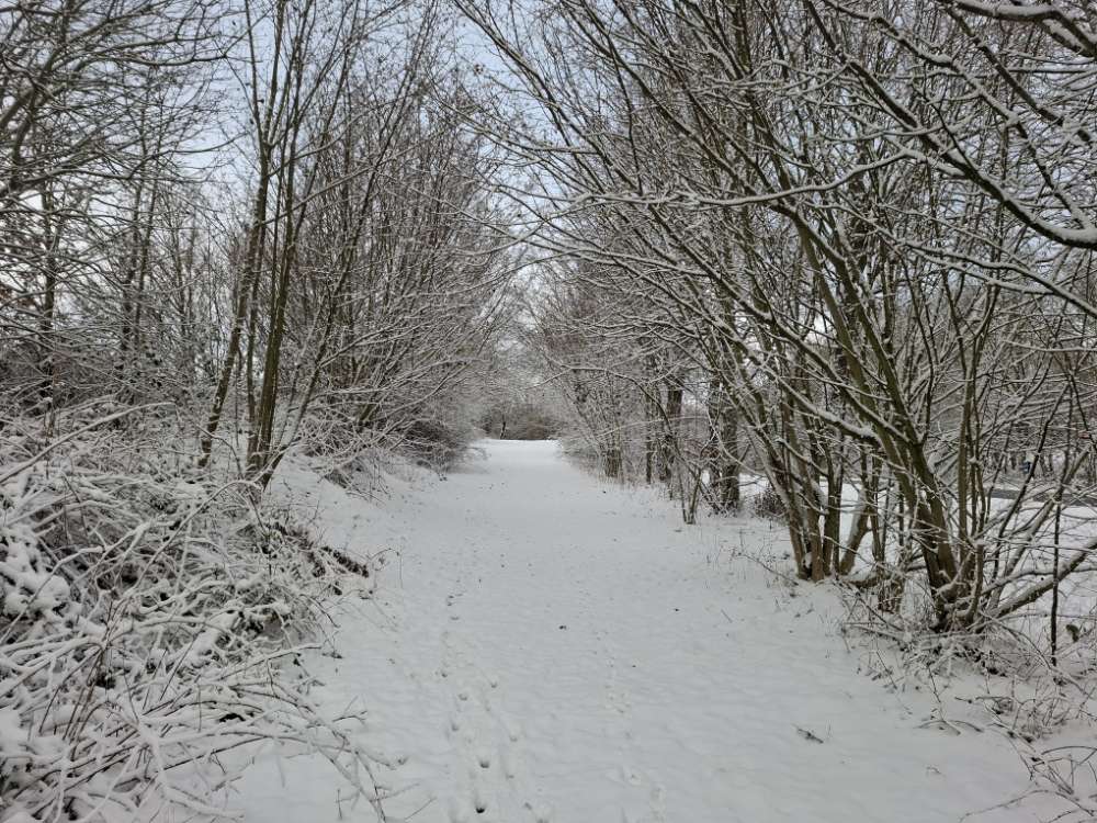 Hundetreffen-Runde um den Schöhsee-Profilbild