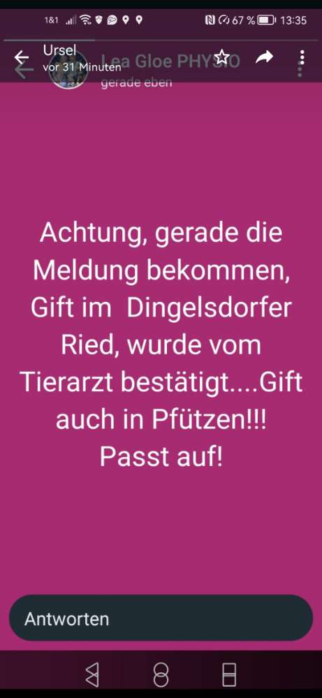 Giftköder-Giftköder im Dingelsdorfer Ried-Profilbild