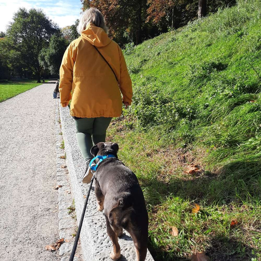 Hundetreffen-Hundekontakte gewünscht-Profilbild