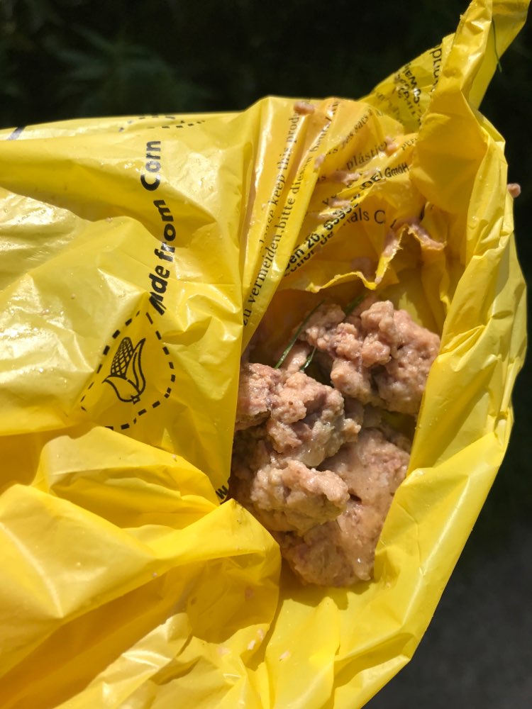 Giftköder-Eventuell Giftköder-Profilbild