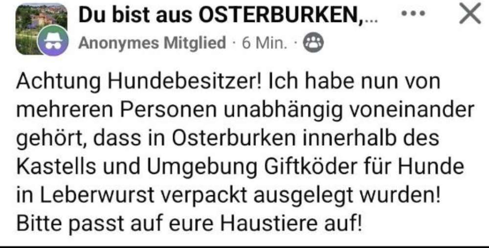 Giftköder-Giftköder-Profilbild