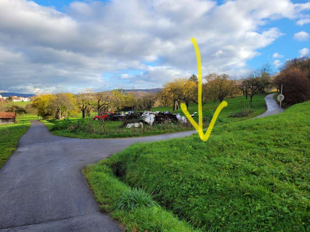 Giftköder-Komisches Gewölle oder Fleischstücke-Profilbild