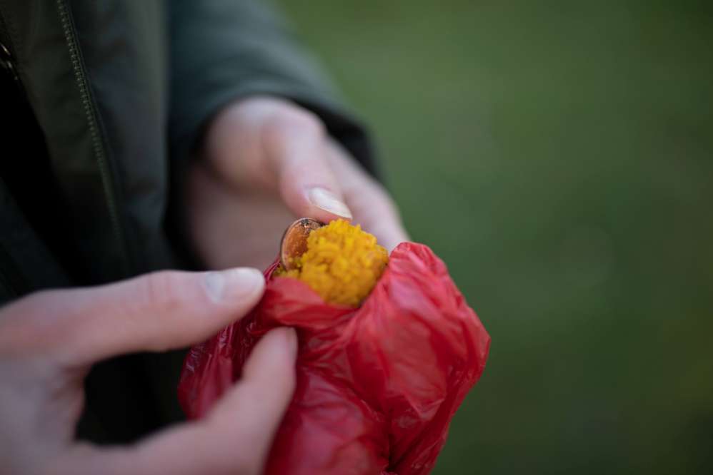 Giftköder-Potentieller Giftköder-Profilbild