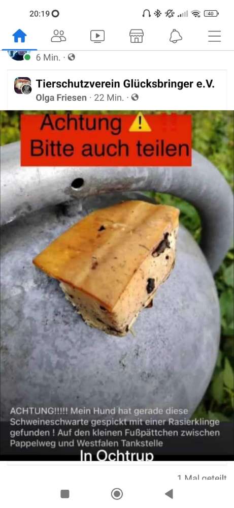 Giftköder-Giftköder-Profilbild