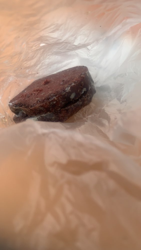 Giftköder-GIFTKÖDER-Profilbild