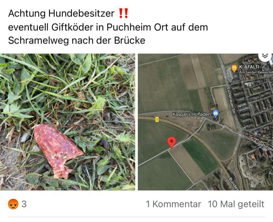 Giftköder-Vermutlich giftiges Fleisch-Profilbild