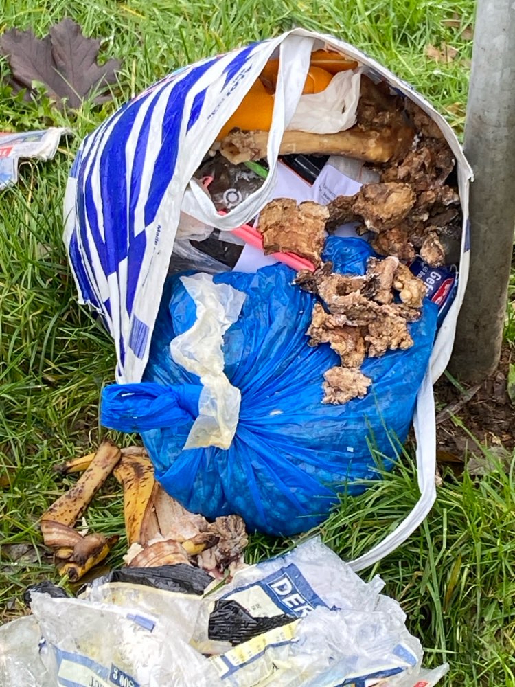 Giftköder-Essensreste u. Knochen-Profilbild