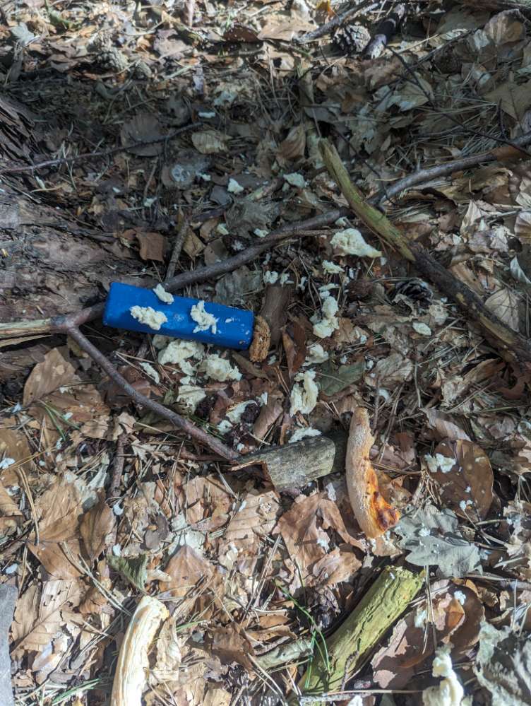 Giftköder-Evtl. Giftköder?-Profilbild