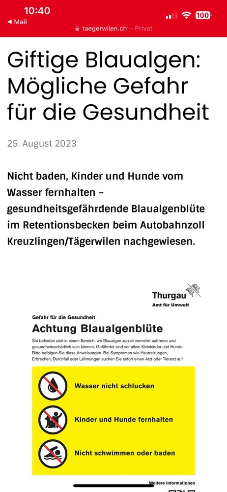 Giftköder-Blaualgen im Retentionsbecken beim Zoll-Profilbild