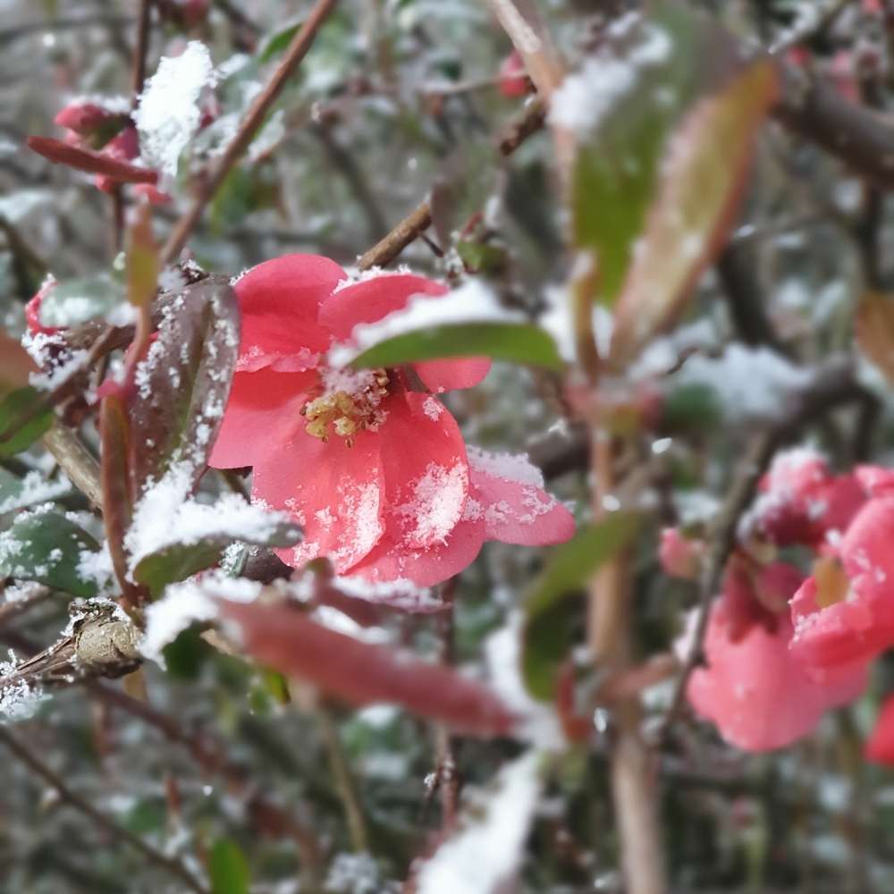 Hundetreffen-Treff zum Spielen und Gassigehen-Profilbild