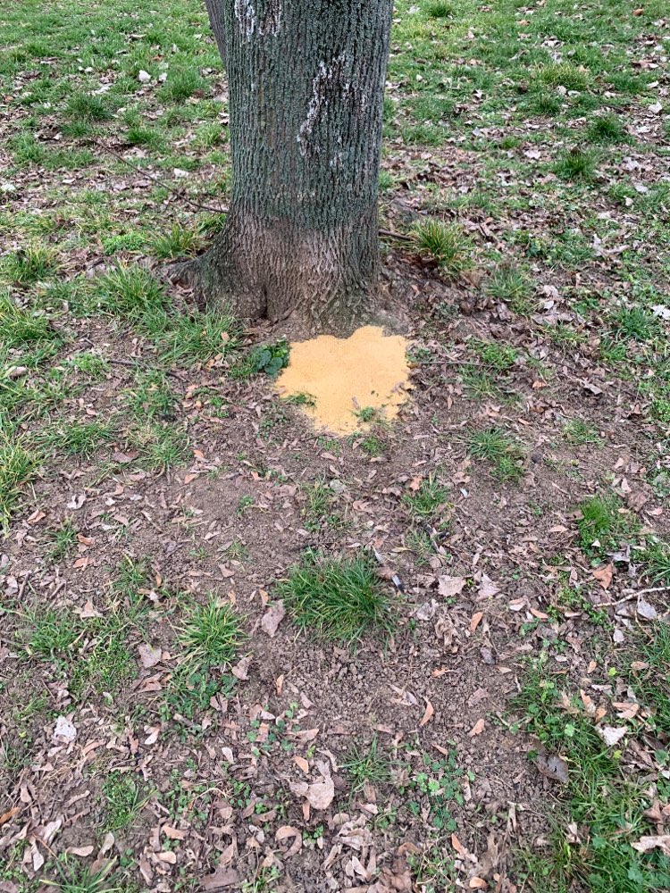 Giftköder-Gift Granulat-Profilbild