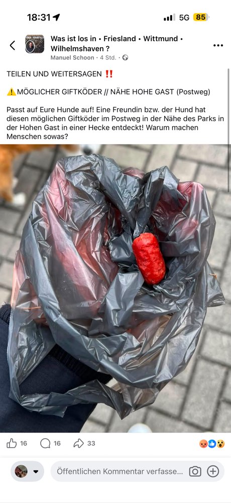 Giftköder-Giftköder-Profilbild