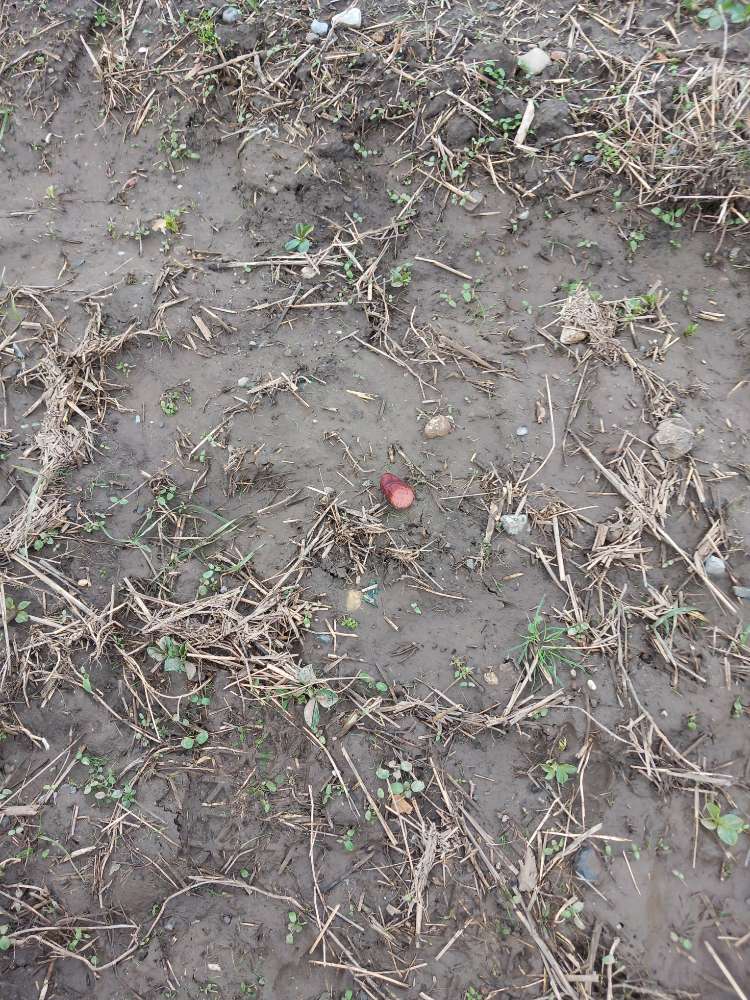 Giftköder-Wurststück und Glassplitter-Profilbild