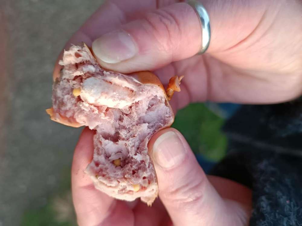 Giftköder-Giftköder-Profilbild